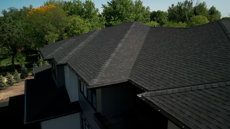 Best Roof Moss and Algae Removal  in Loudoun Lley Estates, VA