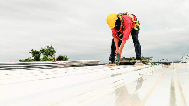 Best 4 Ply Roofing  in Loudoun Lley Estates, VA
