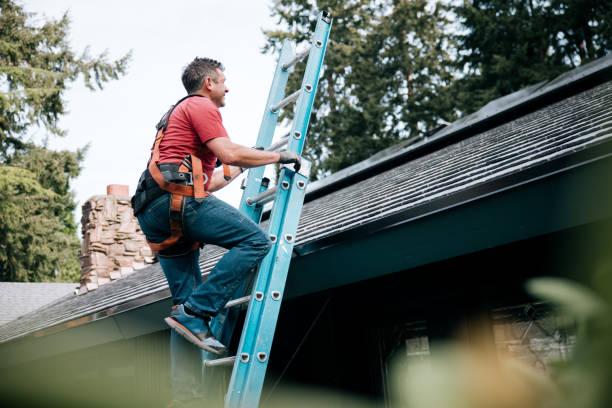 Best Green or Eco-Friendly Roofing Solutions  in Loudoun Lley Estates, VA